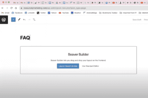 How to launch beaver builder plugin 